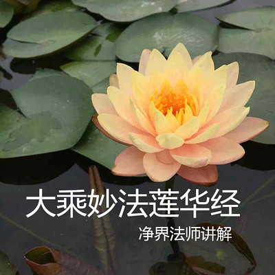 大乘妙法莲华经--净界法师讲解