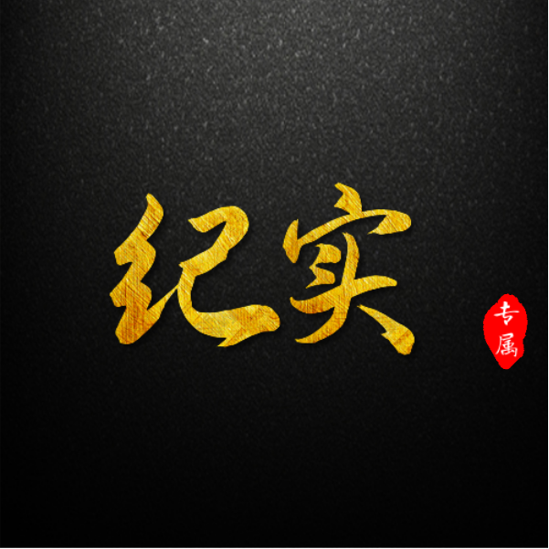 纪实故事fml