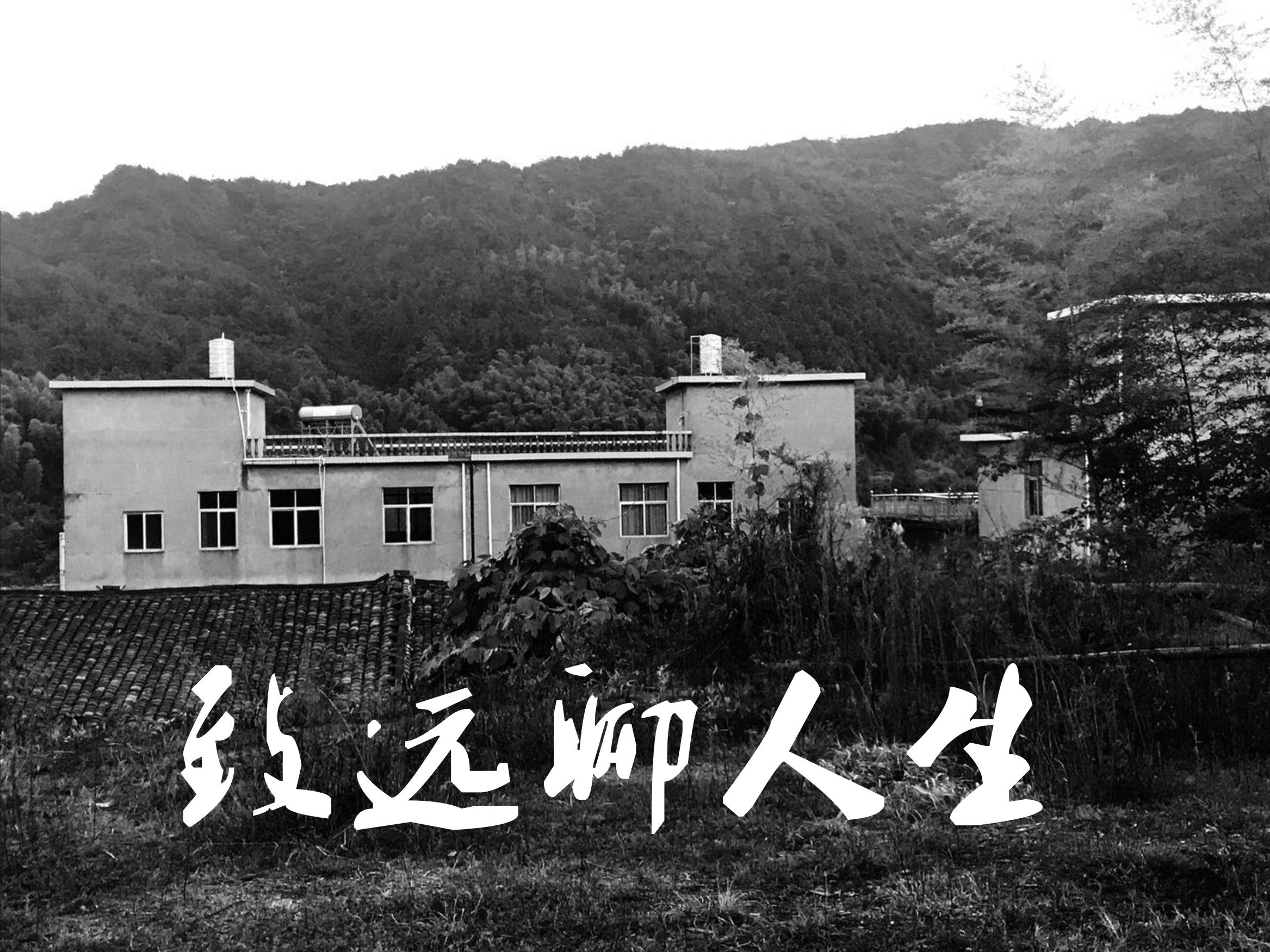 致远聊人生