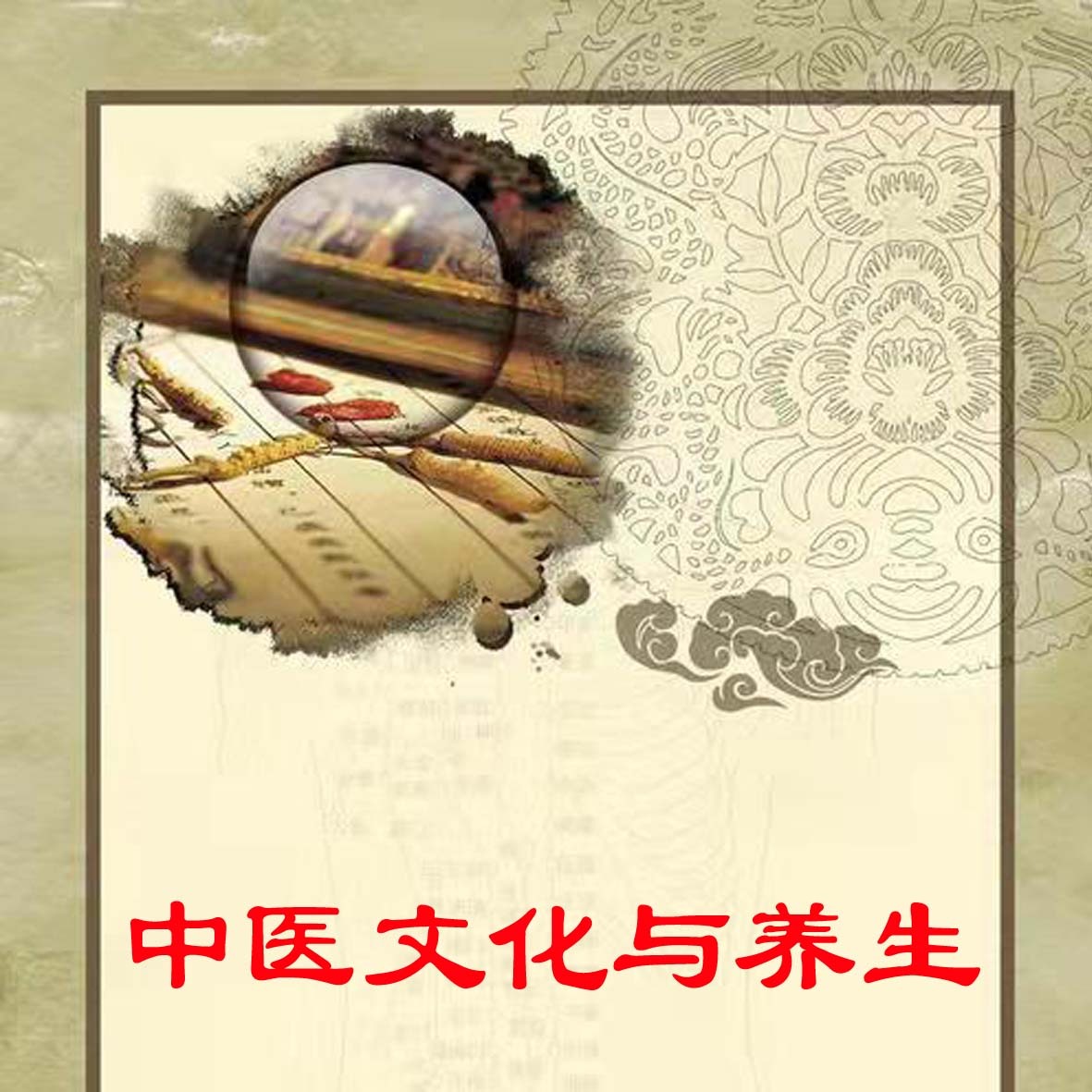 中医文化与养生