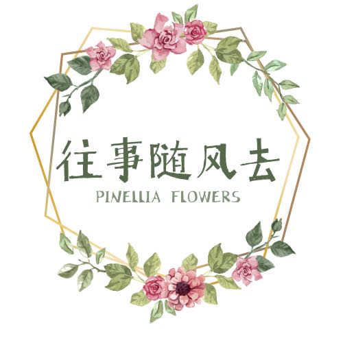 往事随风去