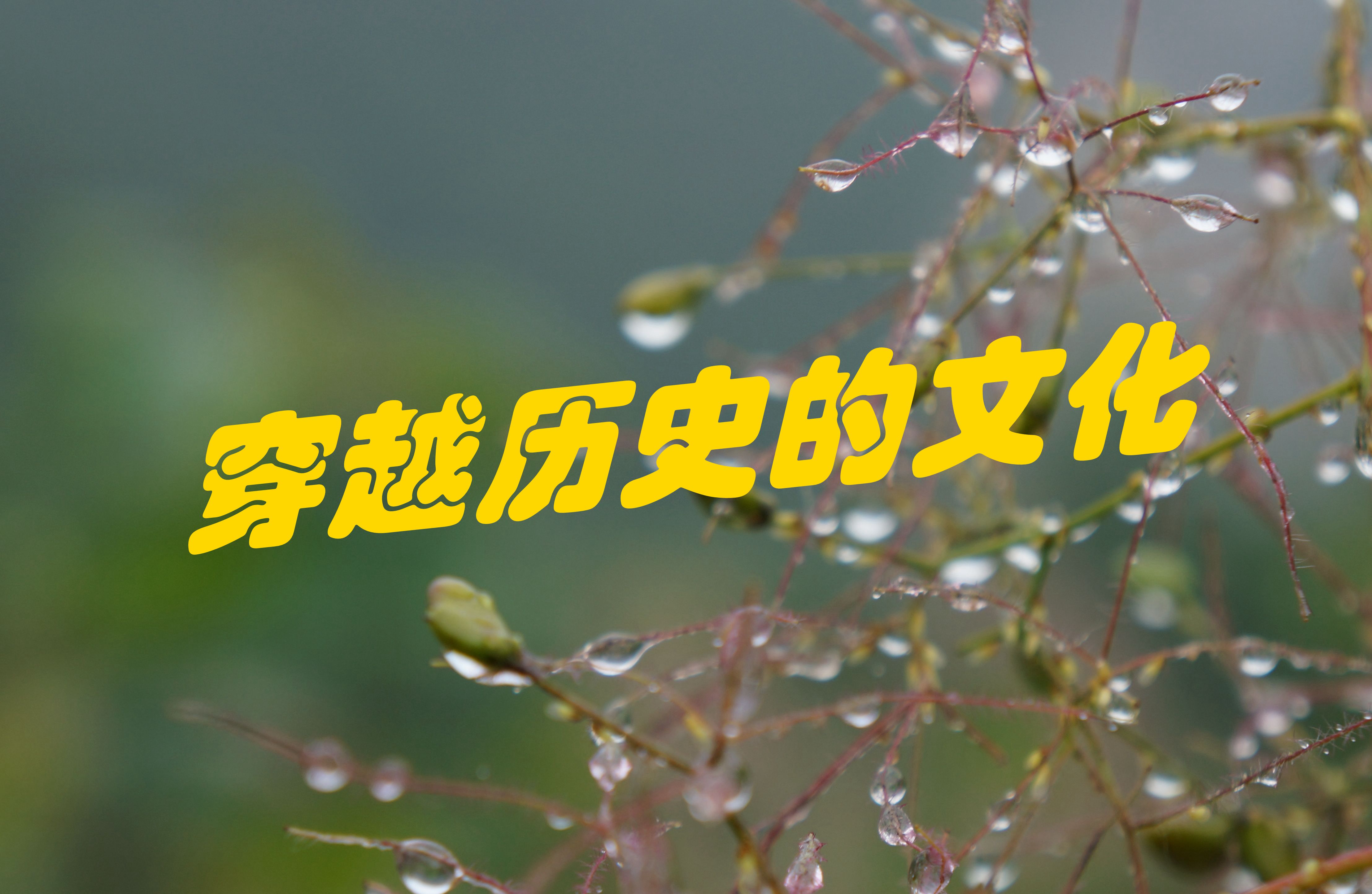 穿越历史共享文化