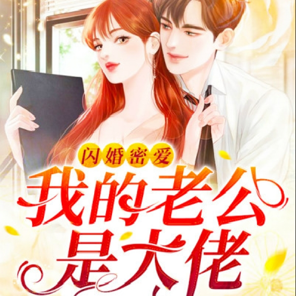 闪婚密爱：我的老公是大佬