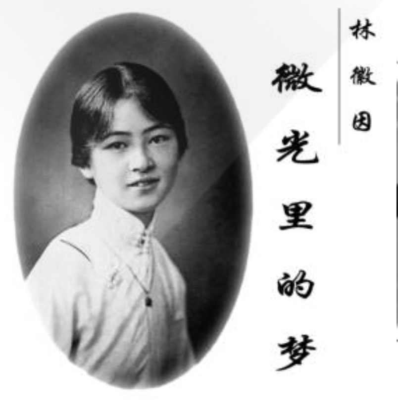 林徽因：微光里的梦（完结）