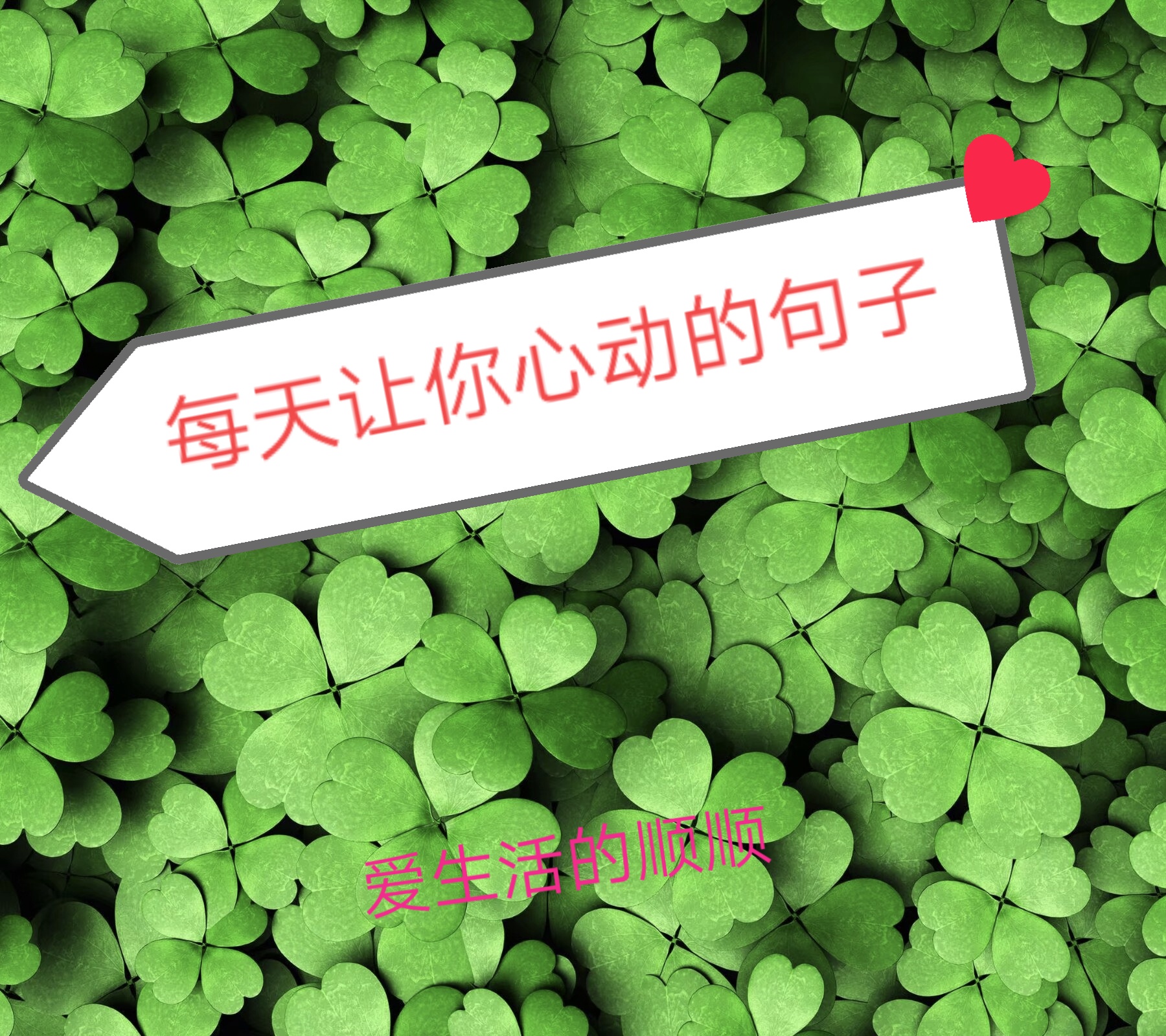 每天一句