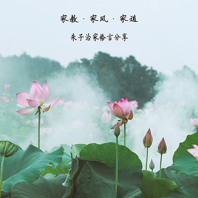 家教·家风·家道 朱子治家格言分享