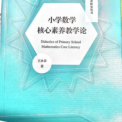 小学数学核心素养教学论——王永春