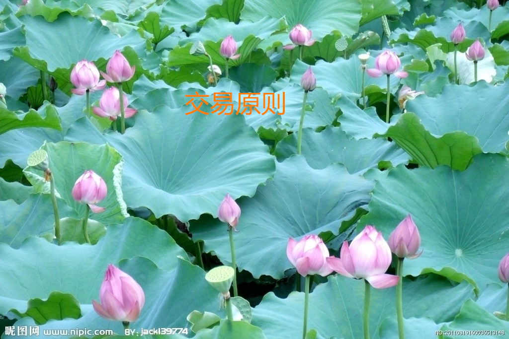 交易原则