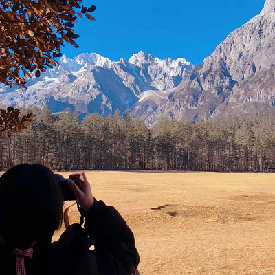 兔兔的移动城堡