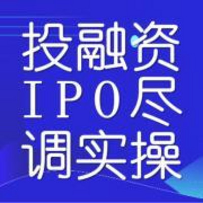 巨树｜投融资IPO尽职调查实操及案例剖析