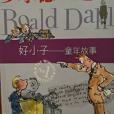 罗尔德达尔 好小子童年故事