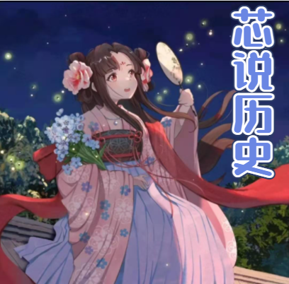 芯说历史