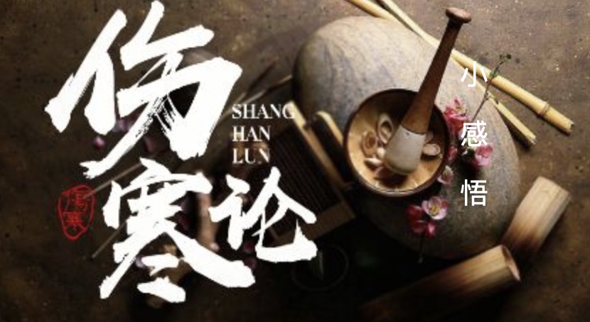伤寒论小感悟