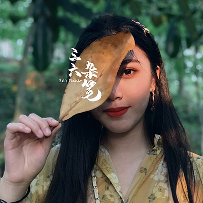 夜话|我随便说你随意听