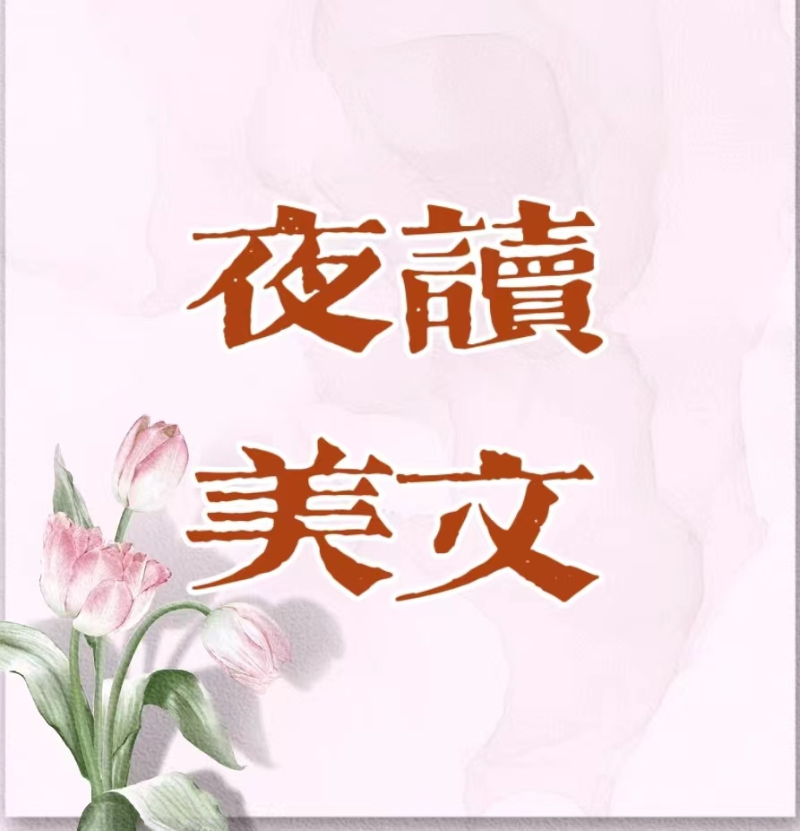 夜读美文