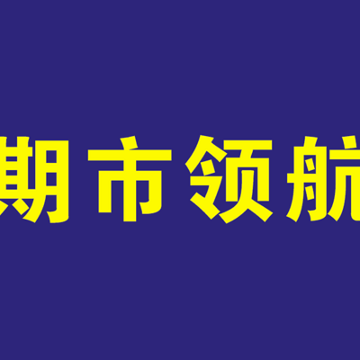 期市领航——每日复盘