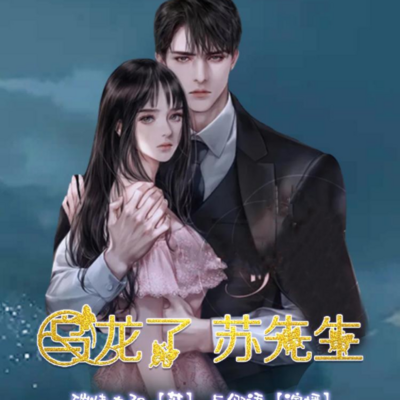 乌龙了,苏先生! 乌龙了,苏先生!