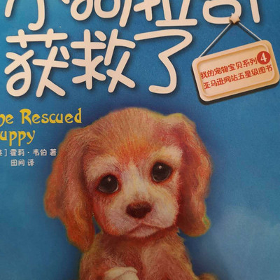 上学路上的故事丨小狗拉奇获救了 上学路上的故事丨小狗拉奇获救了