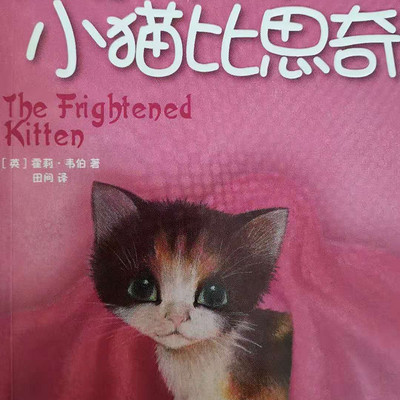 上学路上的故事丨受惊吓的小猫比思奇 上学路上的故事丨受惊吓的小猫比思奇