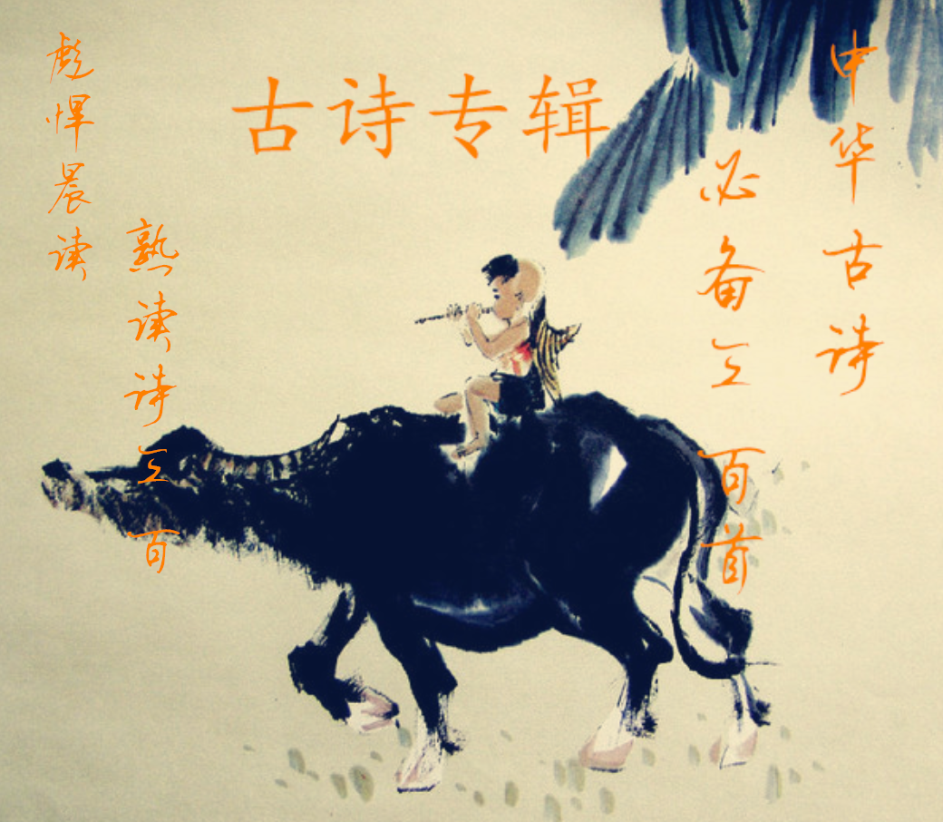 剽悍晨读|每天10分钟熟读诗300