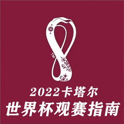 2022卡塔尔世界杯观赛指南｜32强前瞻