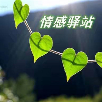 神雕大侠的情感节目