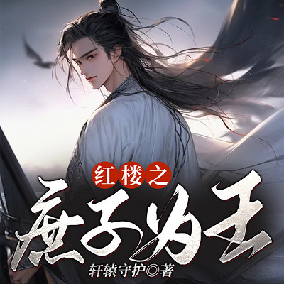 红楼之庶子为王 红楼之庶子为王