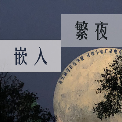 嵌入繁夜