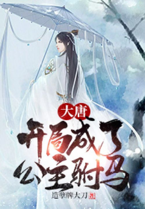 大唐: 开局成了公主驸马