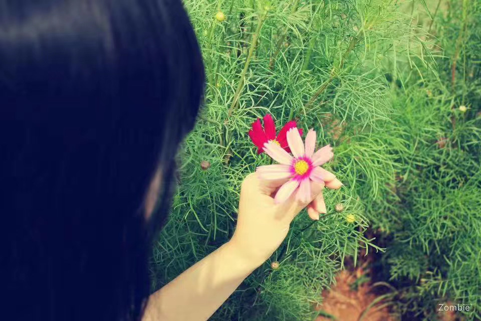 枕水晚安电台