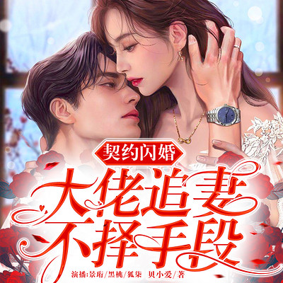 契约闪婚,大佬追妻不择手段 契约闪婚,大佬追妻不择手段