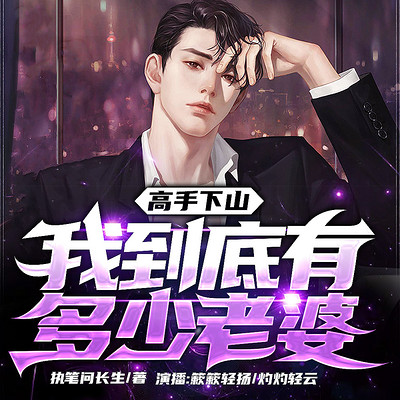 高手下山:我到底有多少老婆 高手下山:我到底有多少老婆