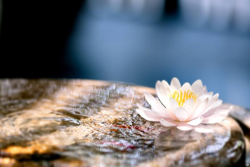 僧伽吒经聆志居士念诵04