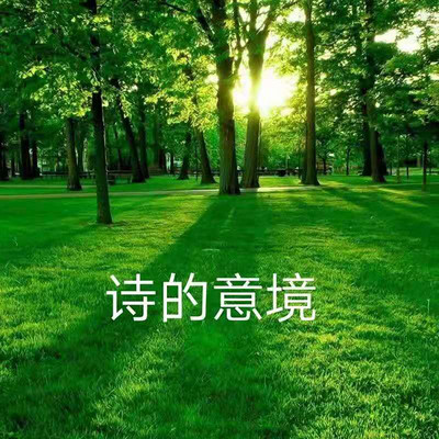 诗的意境