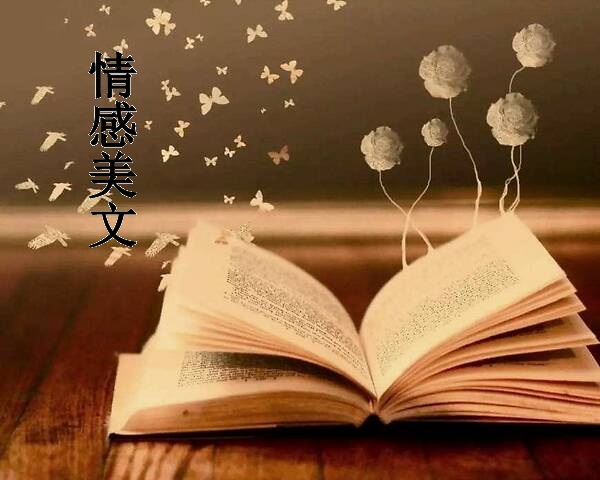 情感美文