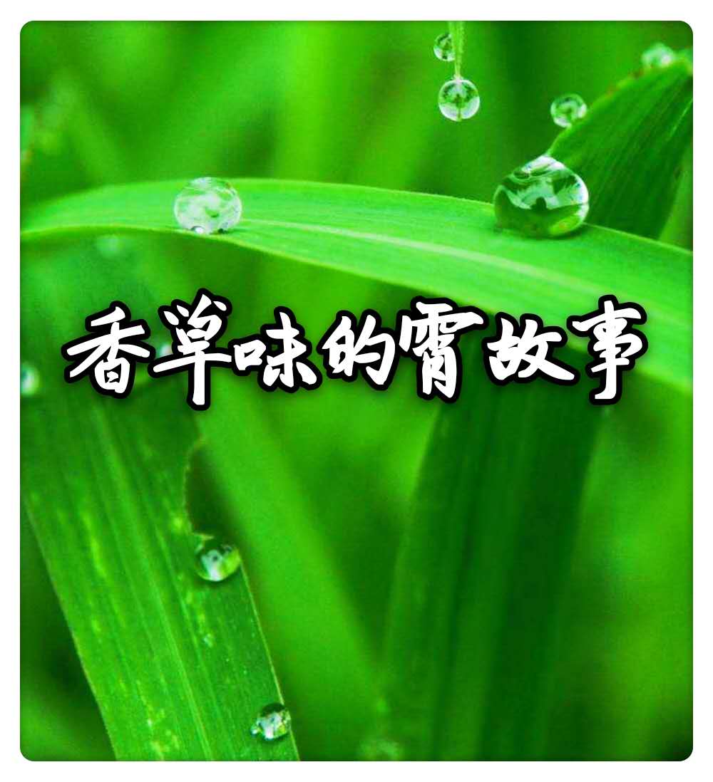 香草味的霄故事