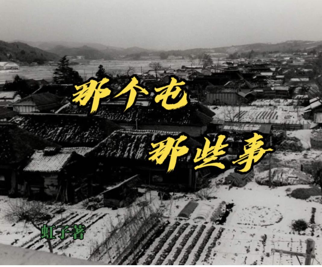 那个屯那些事