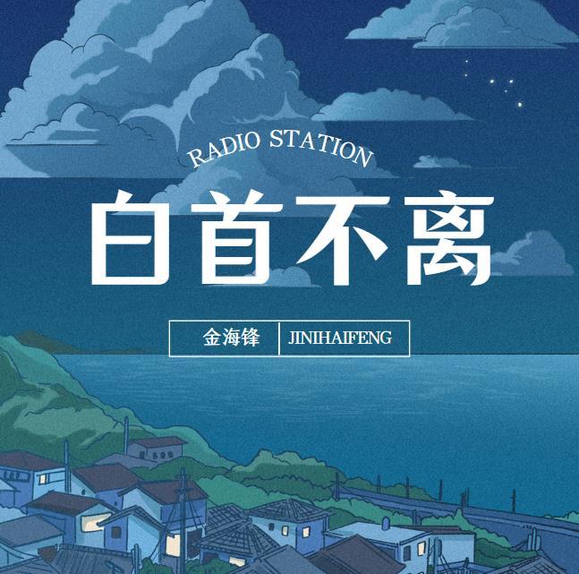 金海锋车载音乐伤感歌曲专辑《白首不离》