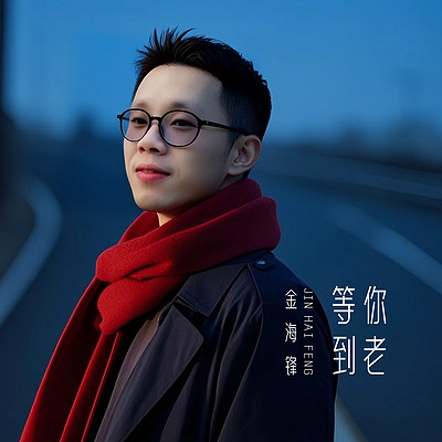 金海锋歌曲车载音乐专辑《等你到老》