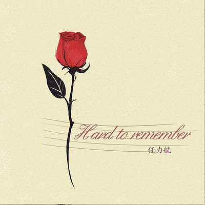Hard to Remember Hard to Remember