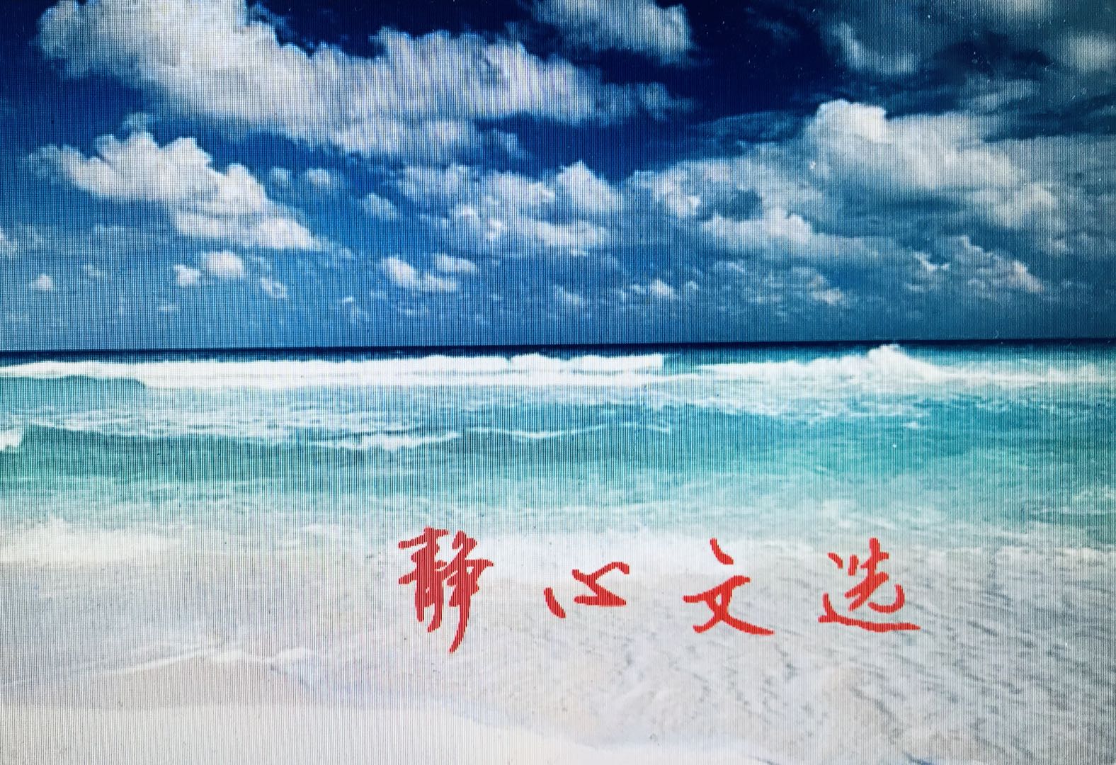 静心文选