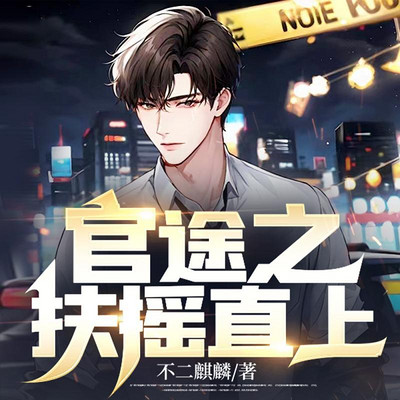 官途之扶摇直上 官途之扶摇直上