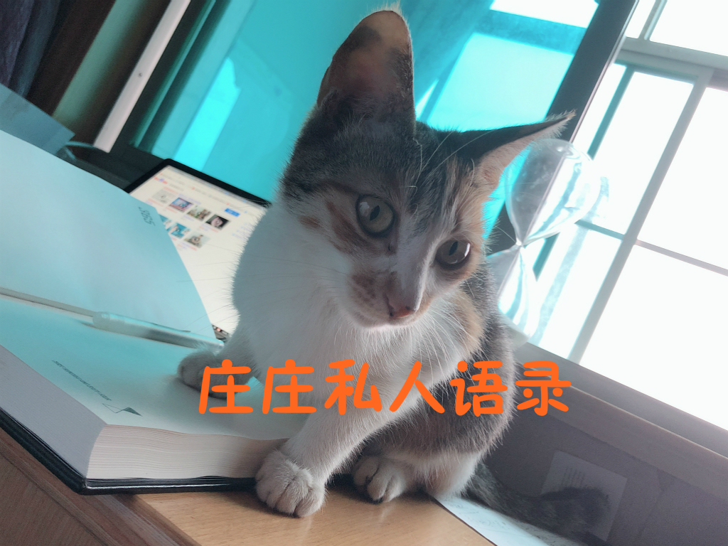 喵庄庄的私人语录