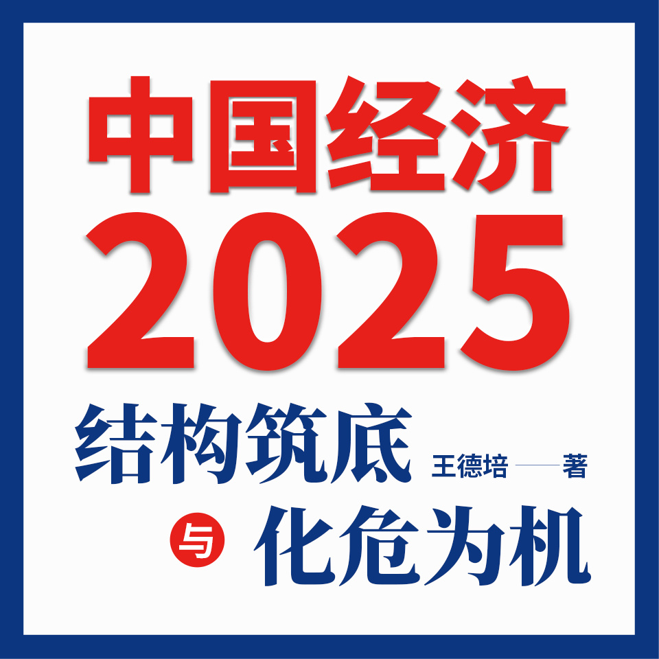 中国经济2025：经济学家王德培权威解读