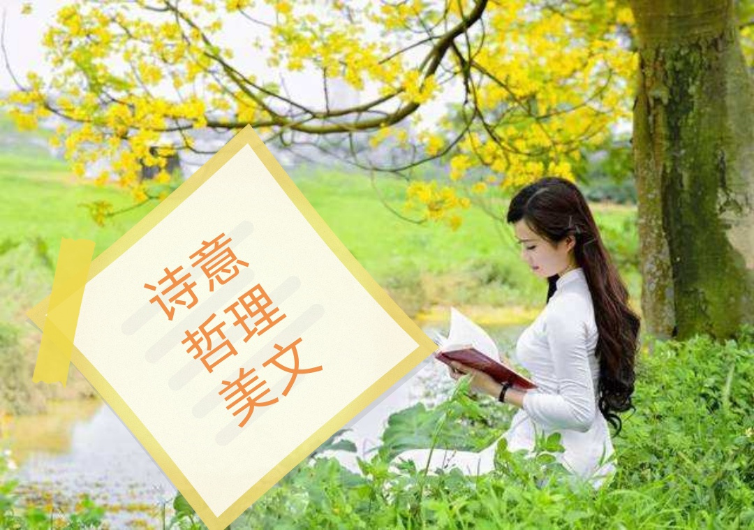 诗意•哲理•美文