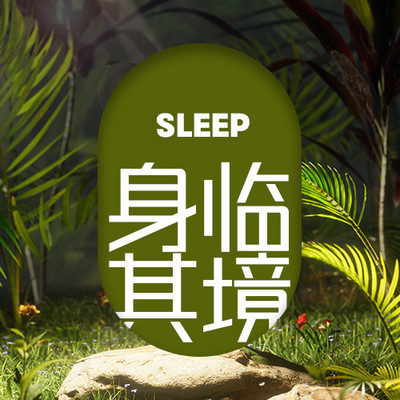 身临其境│睡眠 禅 放松 身临其境│睡眠 禅 放松