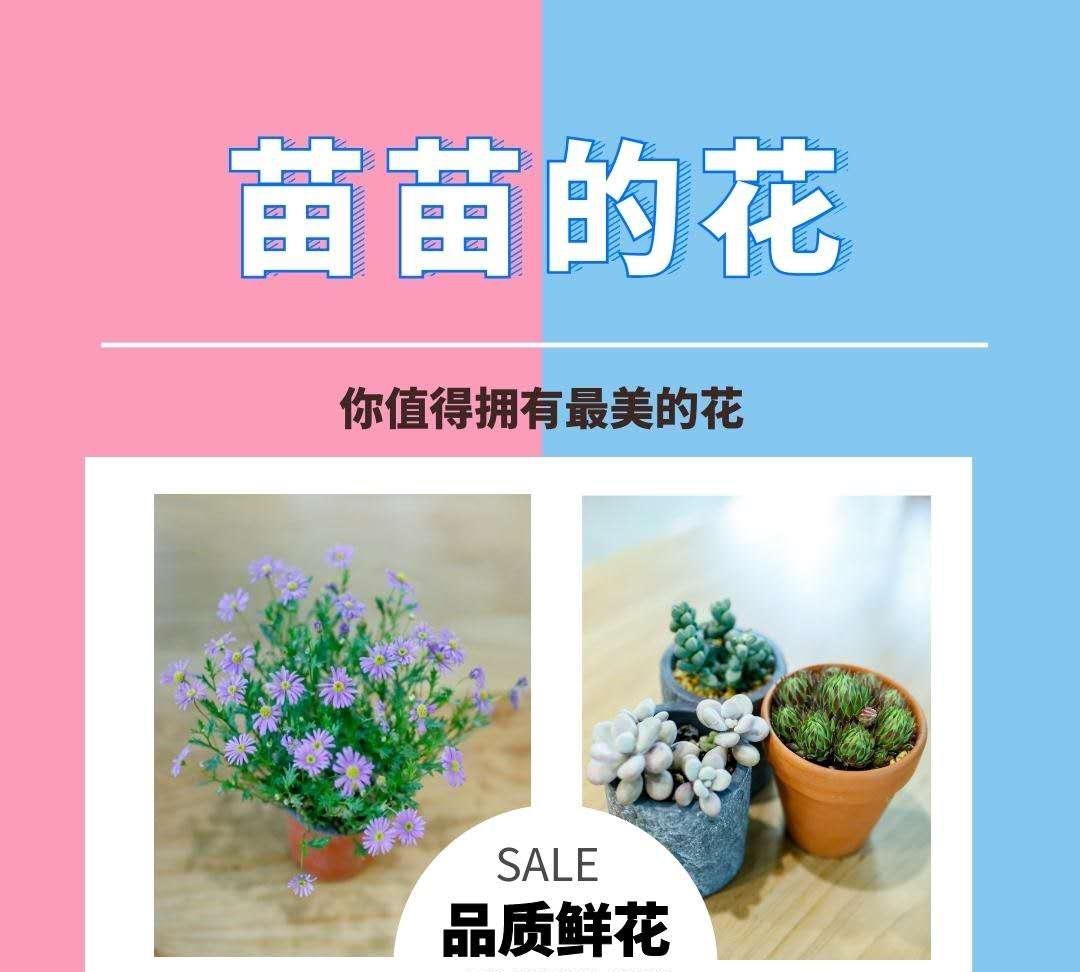 苗苗的花