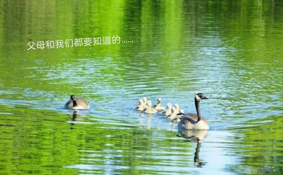 真希望我父母读过…………
