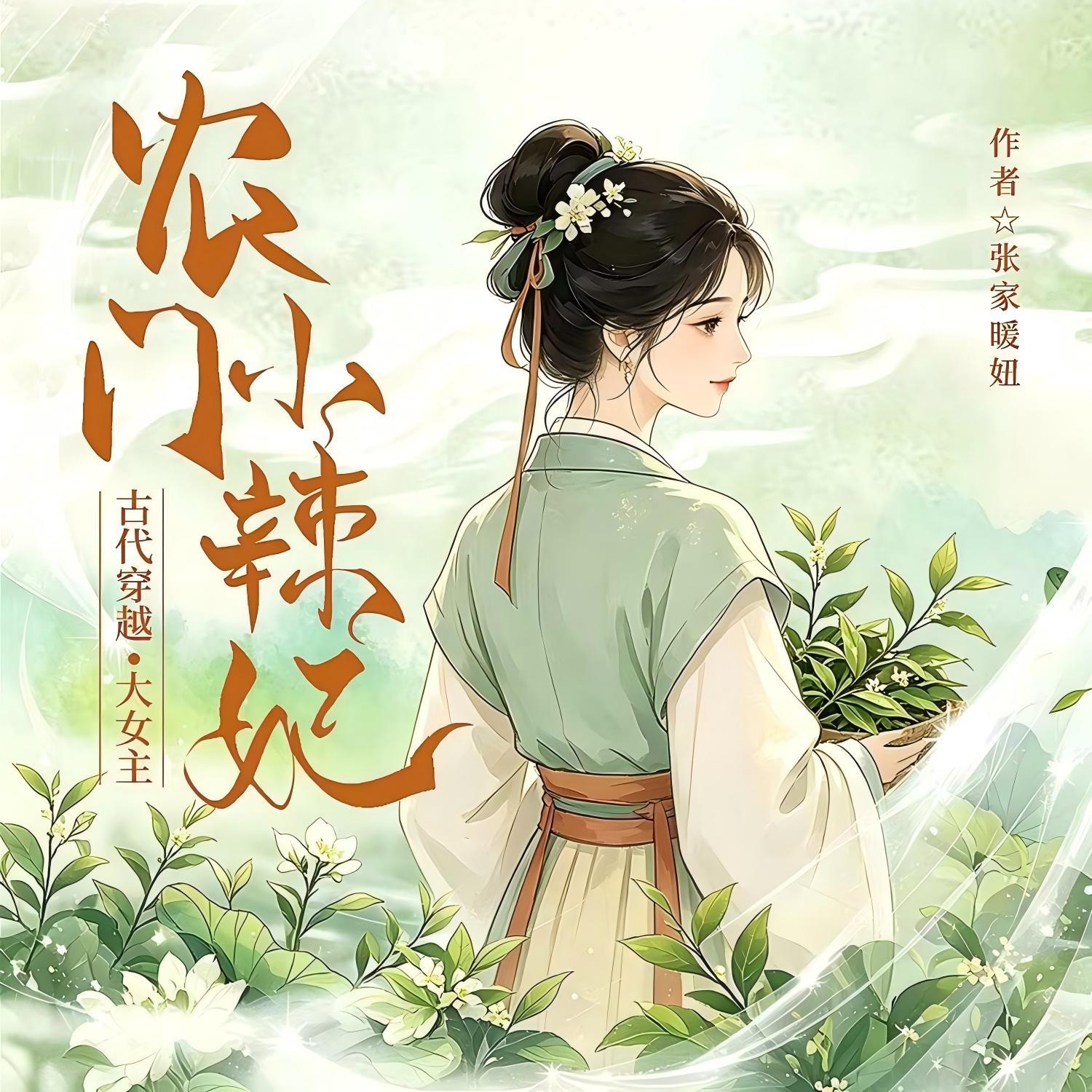 农门小辣妃