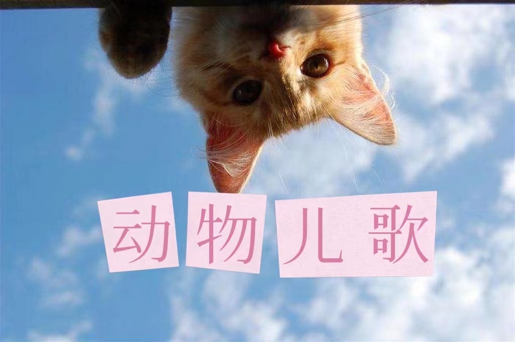 动物儿歌